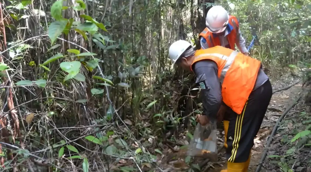 Foto petugas Adhikarilab Indonesia mengambil sampel tanah di lokasi sampling untuk uji kualitas tanah