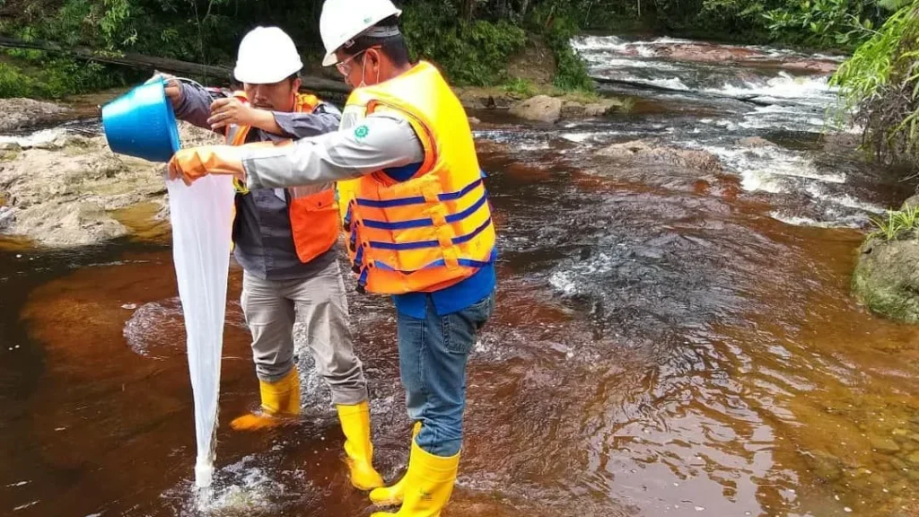 Proses pengambilan sampel air permukaan untuk uji kualitas air permukaan sungai dan mikro plankton laboratorium Adhikarilab