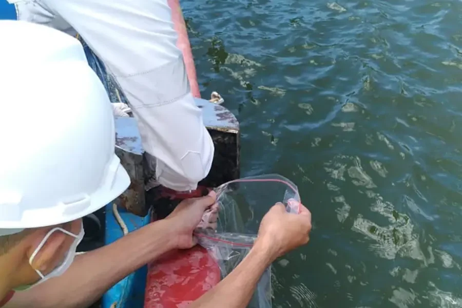 Proses pengambilan sampel air laut oleh teknisi Adhikarilab Indonesia