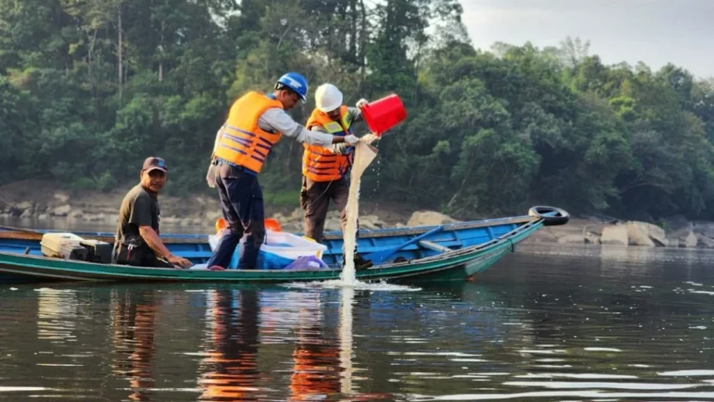 Proses pengambilan sampel air permukaan untuk uji kualitas air permukaan sungai dan mikro plankton laboratorium Adhikarilab
